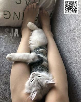 法国《性迷宫》电影
