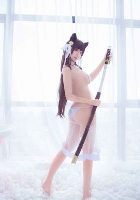 长歌行免费电视剧